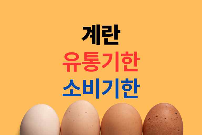 계란 소비기한 지나도