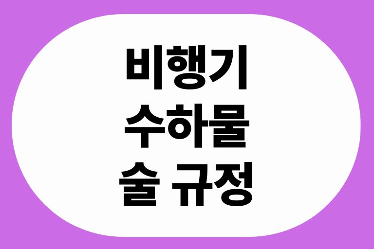 비행기 수하물 술 규정