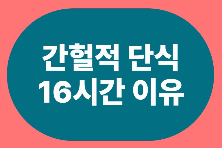 간헐적 단식 16시간 이유와 실천하는법