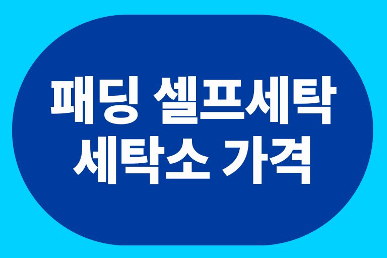 패딩 셀프세탁 세탁소 가격