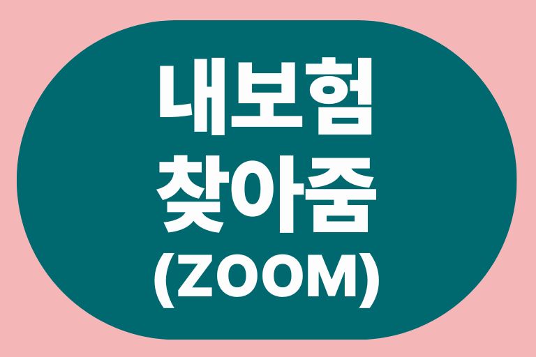 내보험 찾아줌