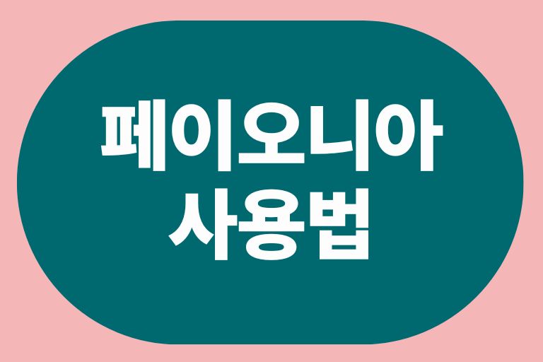 페이오니아 사용법