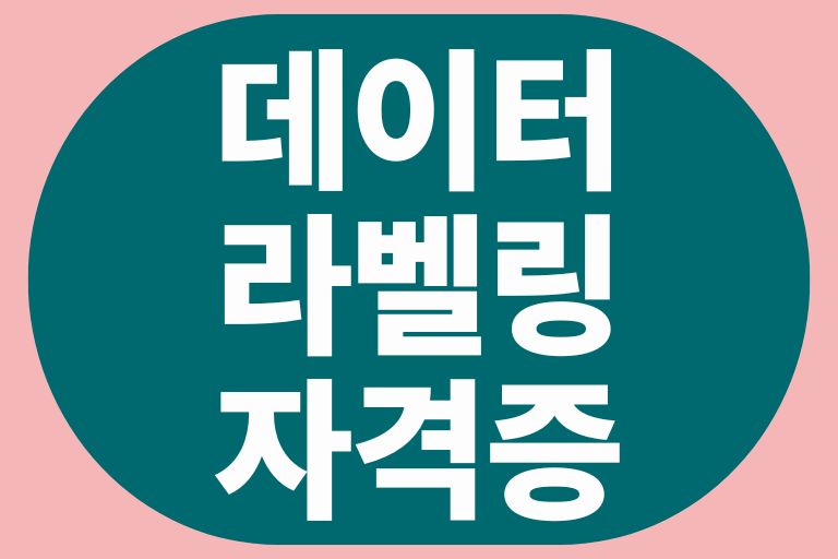 데이터라벨링 자격증
