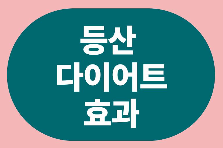 등산 다이어트 효과