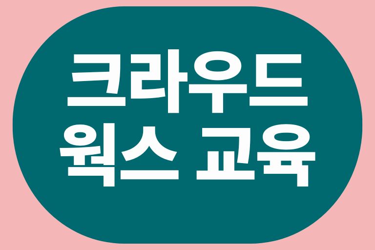 크라우드웍스 교육