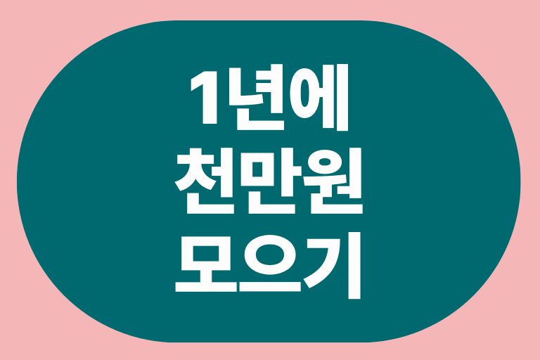 1년에 천만원 모으기