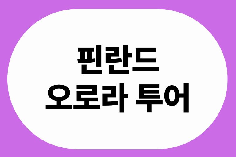핀란드 오로라 투어