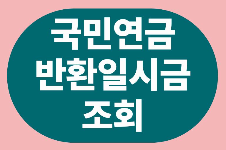 국민연금 반환일시금 조회, 신청부터 환급까지