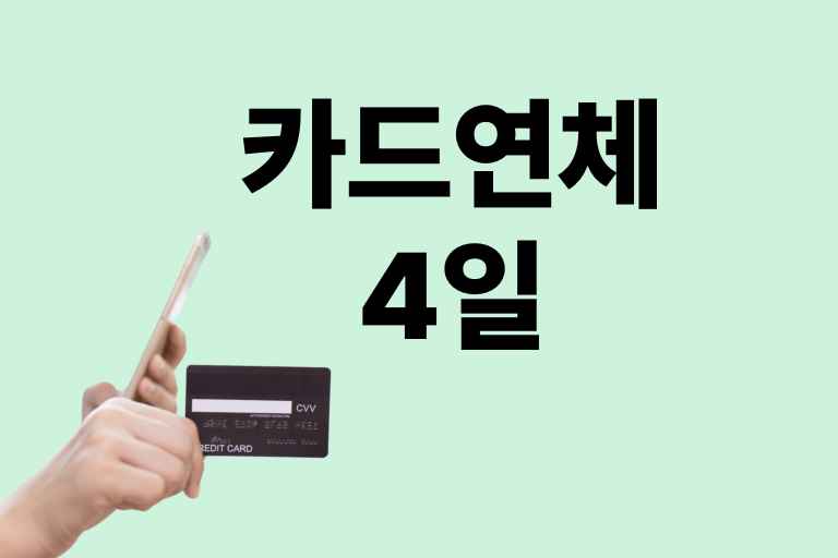 카드 연체 4일
