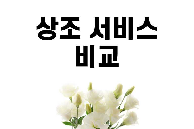 상조 서비스 Top7 비교, 서비스와 특징 가입비 총정리