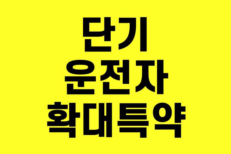 단기운전자확대특약