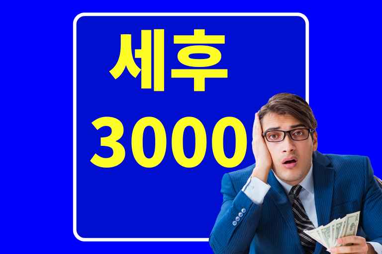 세후 3000