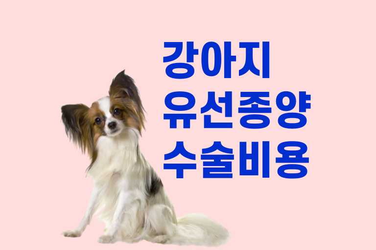 강아지 유선종양 수술비용