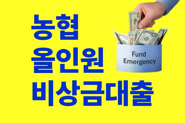 농협올인원비상금대출