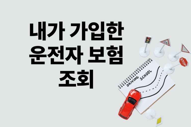 내가 가입한 운전자 보험 조회