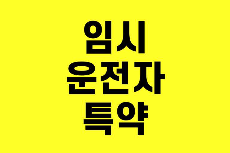 임시운전자특약이란