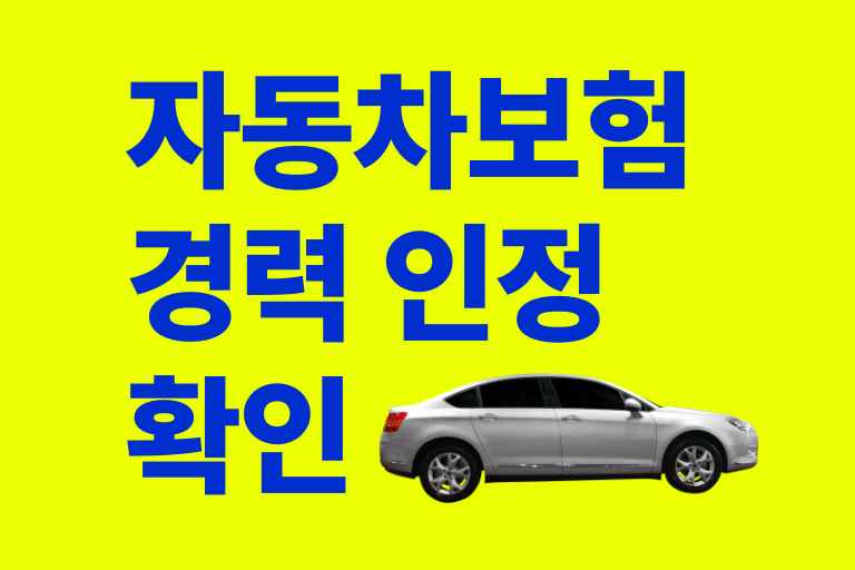 자동차보험 경력 인정 확인