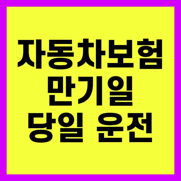자동차보험 만기일 당일 운전
