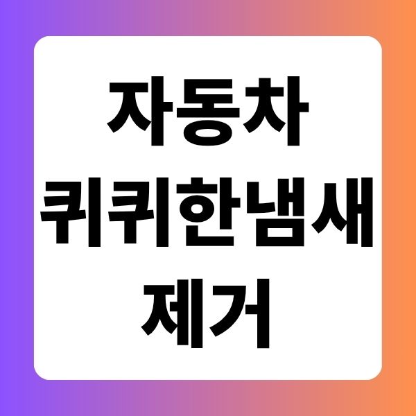 자동차 퀴퀴한 냄새 제거