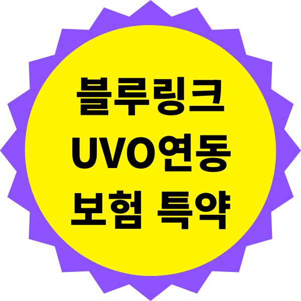 블루링크 UVO 서비스와 연동하는 보험 특약