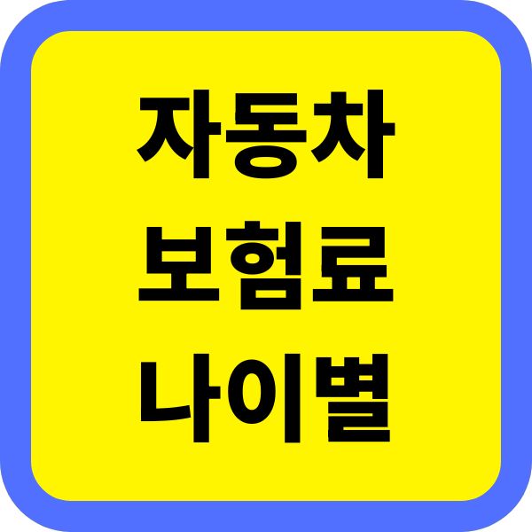 자동차보험료 나이 별