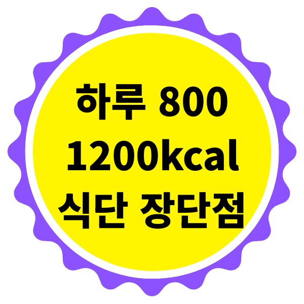 하루 800 1200kcal 식단의 장단점